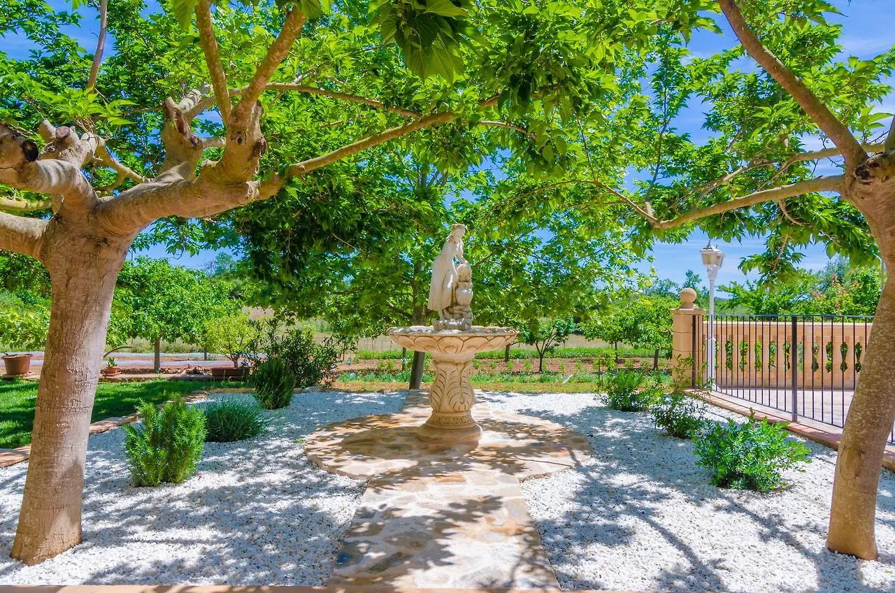 Sa Cova Manacor (Mallorca)